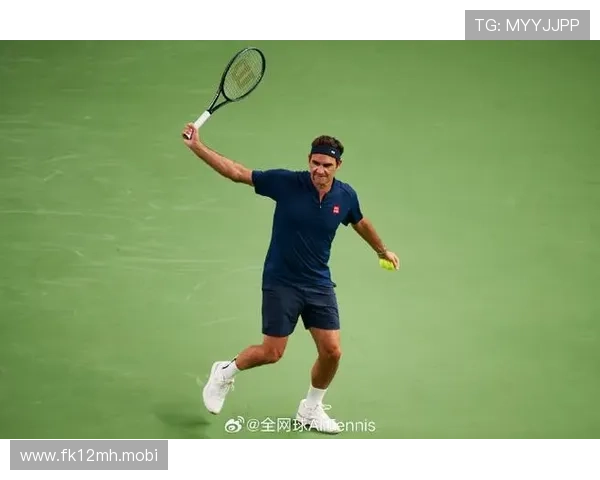 费德勒丰塞卡似辛纳安娃比德约